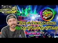 DJ MATAME MATAME TERBARU 2020||SPESIAL KARNAVAL BREWOG AUDIO SLOW BASS