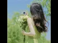 未深入但了解