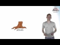 Download Lagu Engels - Present simple - EngelsAcademie.nl