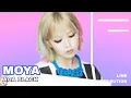 AOA Black - Moya [Line Distribution]