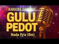 Download Lagu 🎤 Karaoke Dangdut GULU PEDOT - Nada Pria (Bm) | Lagu Dangdut Jawa Populer