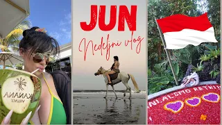 UkiQ nedelja👉🏼 BALI došao i majmun 