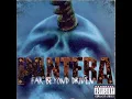 Pantera Strength beyond Strength