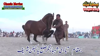 horse dance jashne bodla bahar day 2nd 2017 abadi shahbaz nagar pakpattan 26