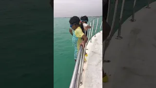 أحلي دلافين وقفزات الأكشن في رحلات م ندي البحريه في مطروح 