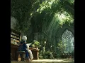 Sunlight on Silent Tomes