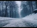 Nick Mulvey - Fever to the form (Lyrics)