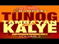 Download Lagu TUNOG TAMBAYAN SA KALYE                           REMIX BY DJ WHEEL