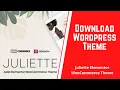 Download Juliette Elementor WooCommerce Theme - WordPress Theme