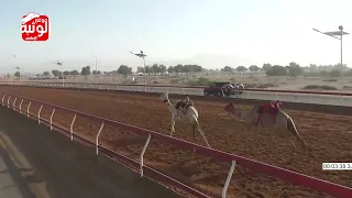 الشوط 10 الوثبه لـ محمد ناصر العوضي يحيى المنهالى 6 8 شارة الديوان 2024 10 19 لقايا السوان 