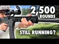Is the M P 15-22 Actually Reliable