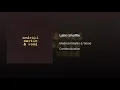 Latin Shuffle - Medeski Martin & Wood