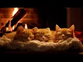 Fall asleep to Family Cat s Purr Warm Fireplace Relax in Cozy Winter Hut Deep Sleep