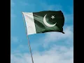 Celebrating 14th August - Unveiling Our Special Flag HTML