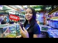 The most expensive reptiles in the mixiuhca fish market with all the prices