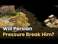 Persian Pressure a Wild Back Forth AoE2 1v1 Arabia
