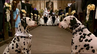 حرب خطيرة بين الكلاب والبشر 101 Dalmatians 