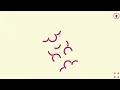 Infinity Loop Hex Gameplay Walkthrough Levels 16 to 36