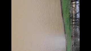 ام بادر ود اح م ــــــــــد 