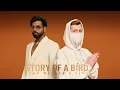 Download Lagu Alan Walker, KING - Story of a Bird (Official Music Video)