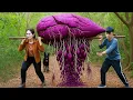 Download Lagu Brave Woman Harvests Giant Yams in the Jungle | Making Coconut Steamed Yam Cakes Sold Out at Market