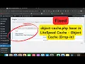 How to Fix object-cache php Issue in LiteSpeed Cache - Object Cache Drop-in