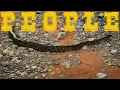 People Pleaser(Official Video)