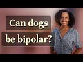 Can dogs be bipolar
