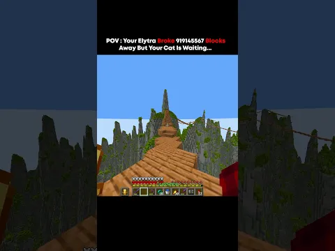 Your Elytra Broke 919145567 Blocks Away but your cat is waiting #minecraft #usa