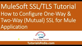MuleSoft Tutorial How to Configure One-Way Two-Way Mutual SSL for Mule Application