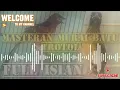 Download Lagu Masteran burung murai batu trotol . Full isian #video #masteran #muraibatu #burung