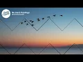 [ 1 HOUR ] Old Dominion - No Hard Feelings (Lyrics)