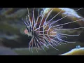 Virginia Aquarium s 28 9M expansion opens this weekend