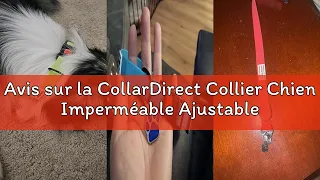 Avis sur la CollarDirect Collier Chien Impermeable Ajustable - Silicone Plastique Anti-Odeur Fac