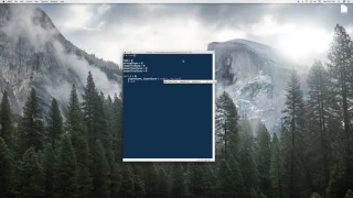 Codechef The Lead Game - TLG Python