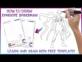 How to Draw Symbiote Spider Man - Spiderman Drawing Free Dot to Dot Connect the Dots Printable