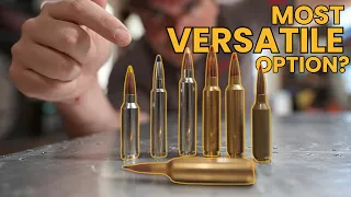 6 Most Versatile Hunting Cartridges With The Pros