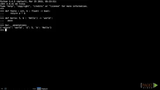 028 using function annotations