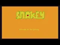Snake game -