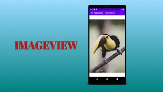 Android Studio ImageView tutorial Working with ImageViews in Android