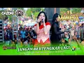 Download Lagu JANGAN BERTENGKAR LAGI - Intan Afifah - MAHESA MUSIC - DHEHAN PRO Audio - ORCOKA 2025