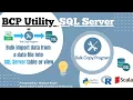 BCP Utility - Bulk import data from a data file into a SQL Server table