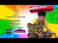 Bujang bango