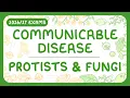 GCSE Biology - Communicable Disease Protist Fungal Disease exams