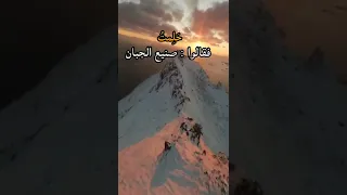 ضحكت فقالوا ألا تحتشم بكيت فقالوا ألا تبتسم بسمت فقالوا يرائي بها 
