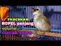 Download Lagu MASTERAN LANGKA trucukan gacor ropel panjang rasa cucak rowo