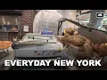 Sourdough Run at Whole Foods on 3rd Ave NYC 4K POV Shopping