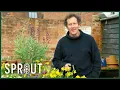Lagu Inside Monty Don's Paradise Garden at Longmeadow | Gardeners' World
