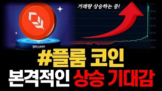 플룸코인 본격적인 상승 기대감 커진 이유… 지금 차트에서 포착된 강력 신호 #플룸코인 #플룸코인전망