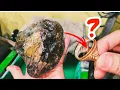 Download Lagu Auto kaya mendadak klw benar! Abang ini minta gosokin batu berlian hitam begini hasilnya